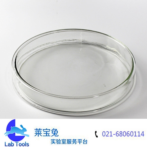 玻璃培养皿200MM培养皿 细菌培养皿 玻璃平皿 组织培养皿生物实验