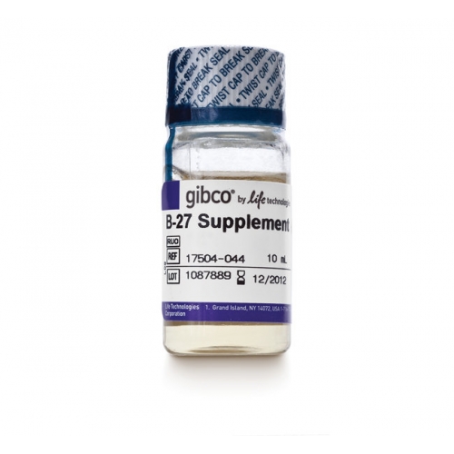 B-27® Supplement (50X), serum free 货号 17504044 